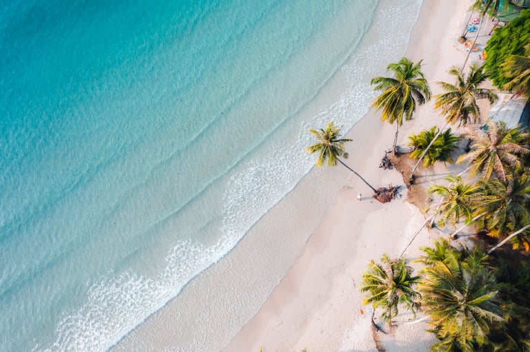 Beach and coconut trees on a calm island in the morning aerial view